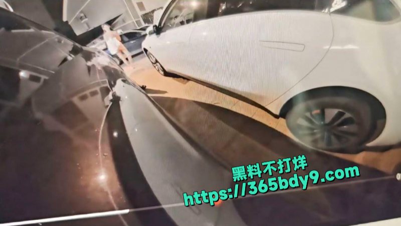 美女怎么这么喜欢到车边上撒尿啊4