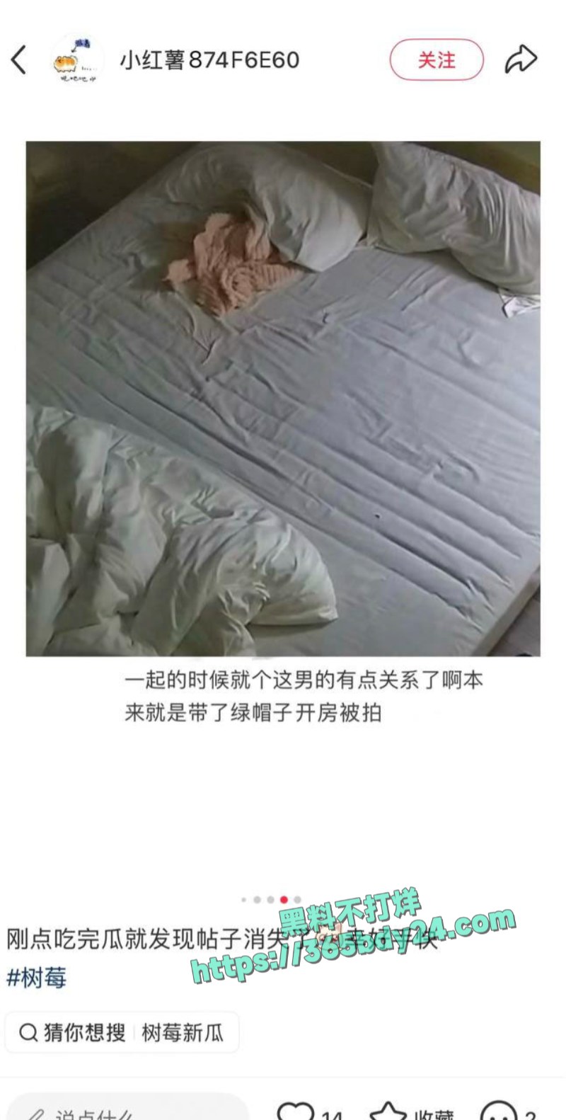 抖音网红树莓塌房B2 4