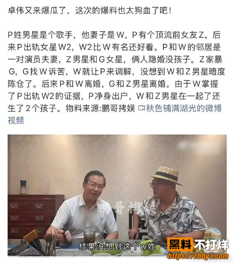 歌手朴树出轨演员王子文04