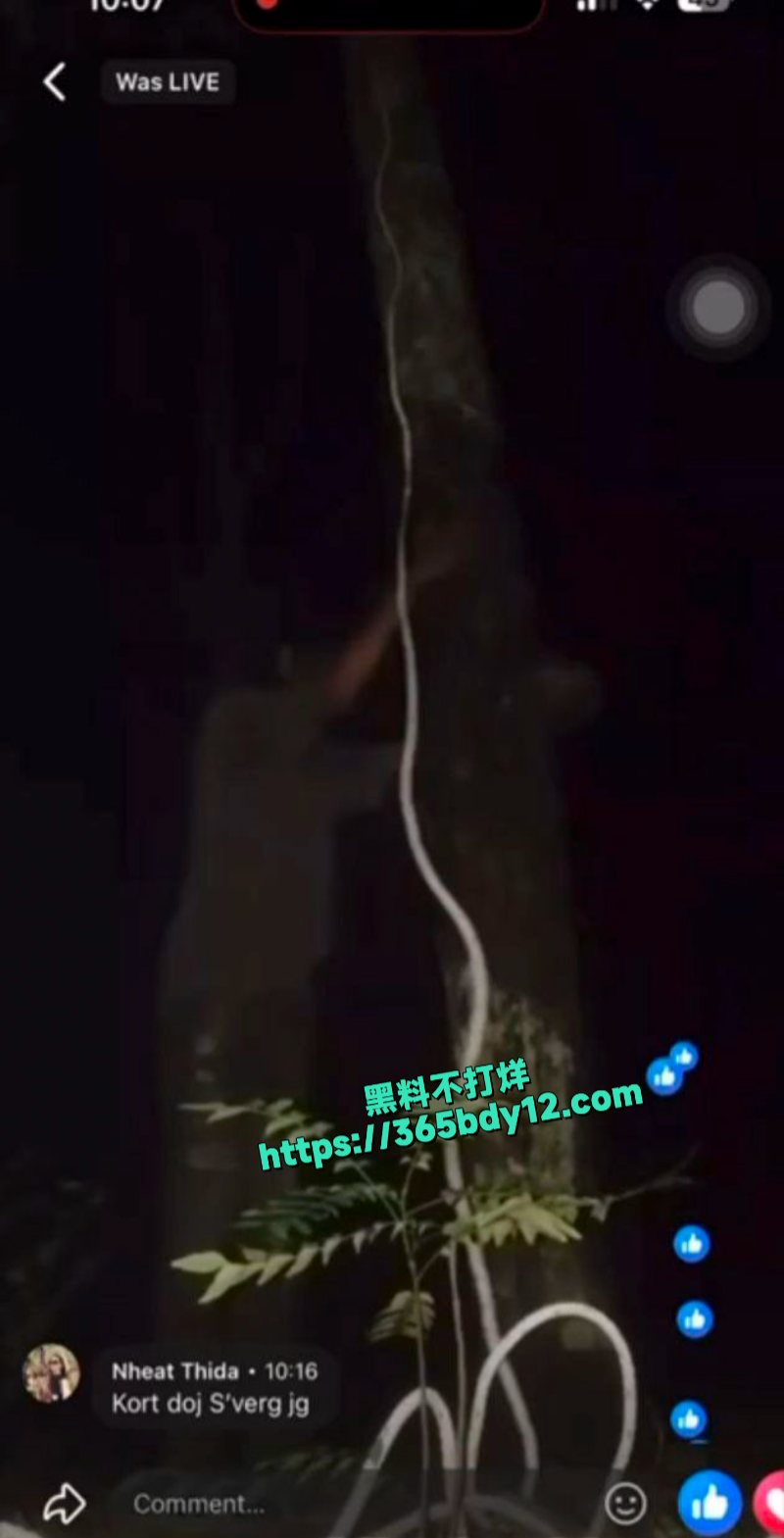 真会玩直播上吊5