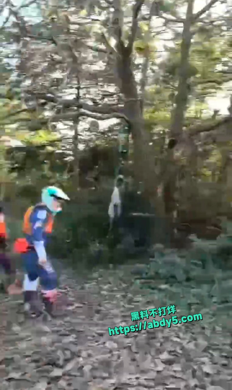 四明山上惊现干尸吊在树上 6