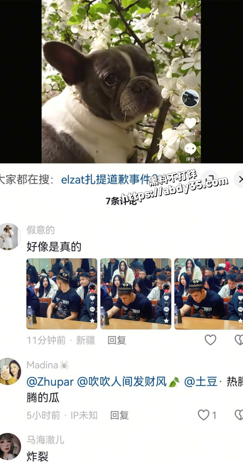 词条.jpg5
