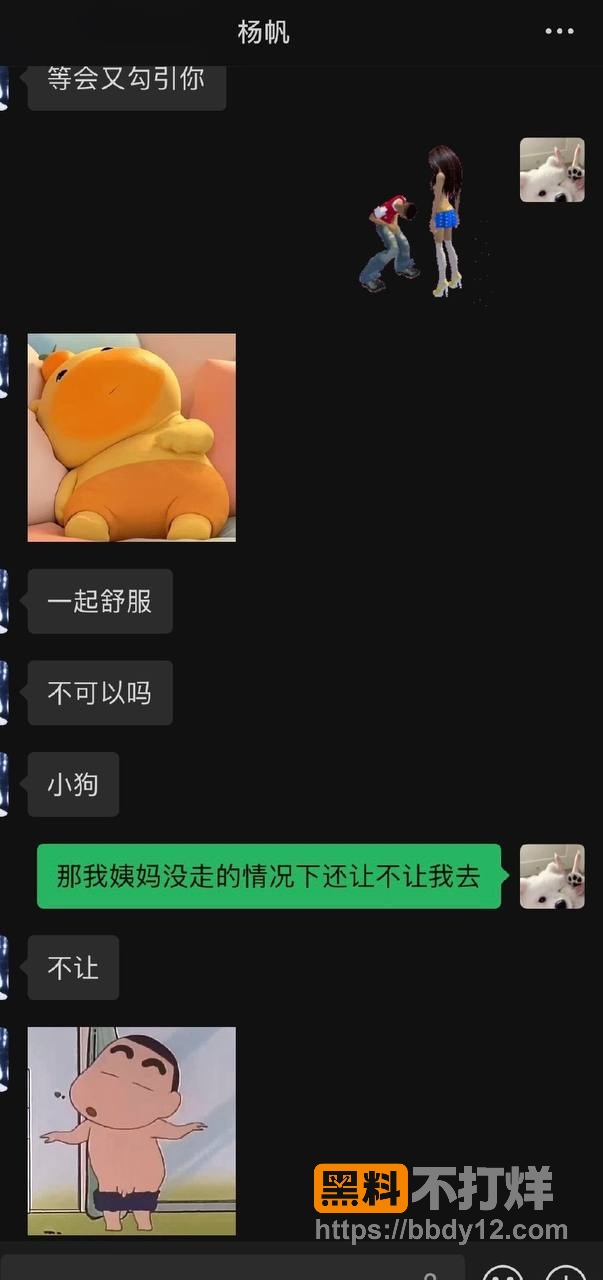 聊天记录11