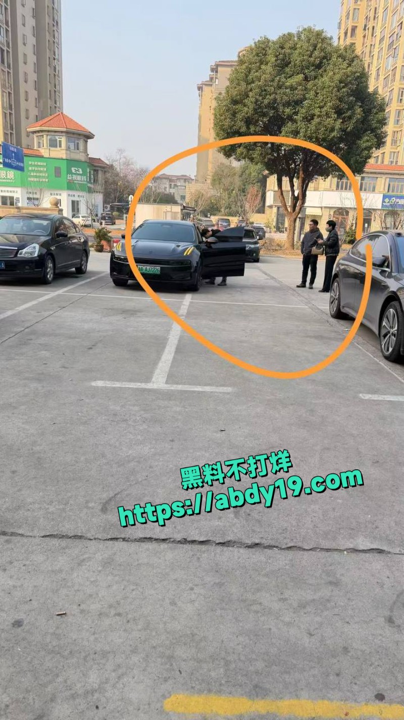 新能源烧车现场1