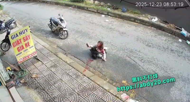 越南街头捅人事件 5