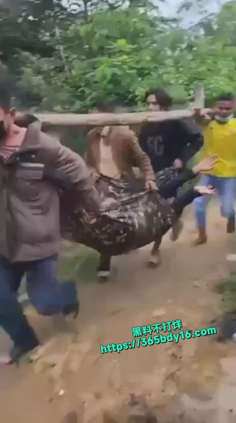 柬泰边境冲突5