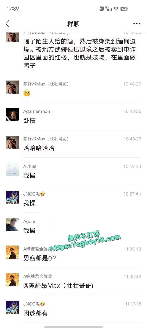重生 之 我被绑到缅北当鸭子3