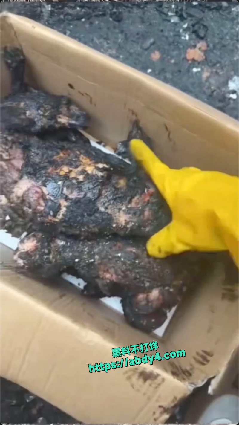 广东揭阳普宁流沙大道宠物店突发火灾 7