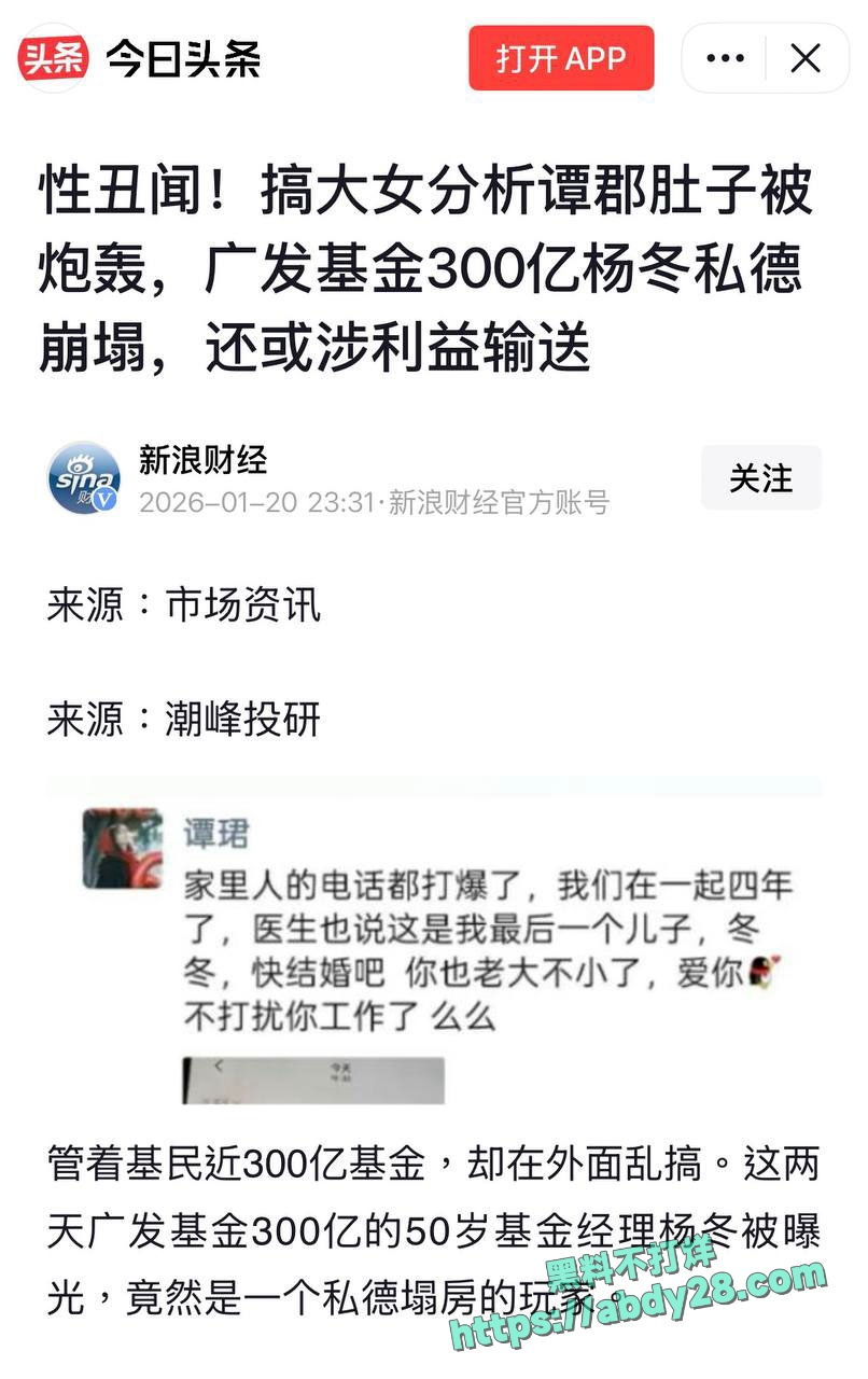 4000点分析师谭珺爆料怀了广发基金杨冬孩子 1
