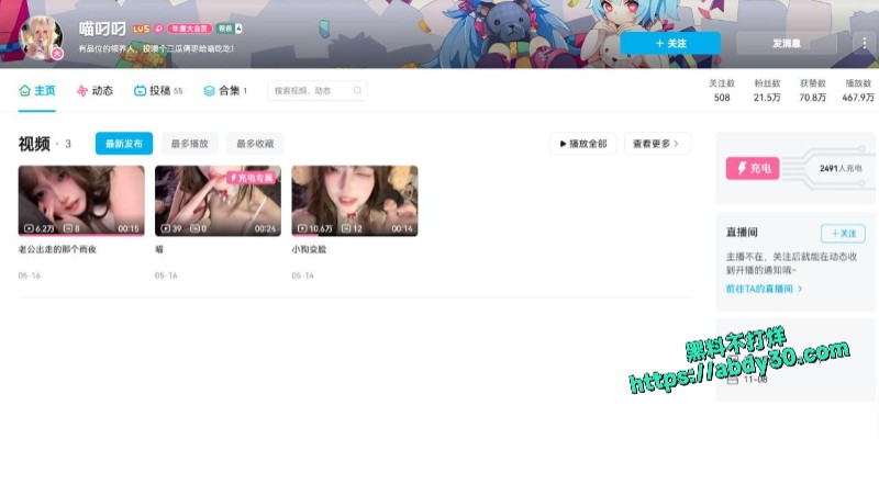 B站喵叼叼露奶定制福利