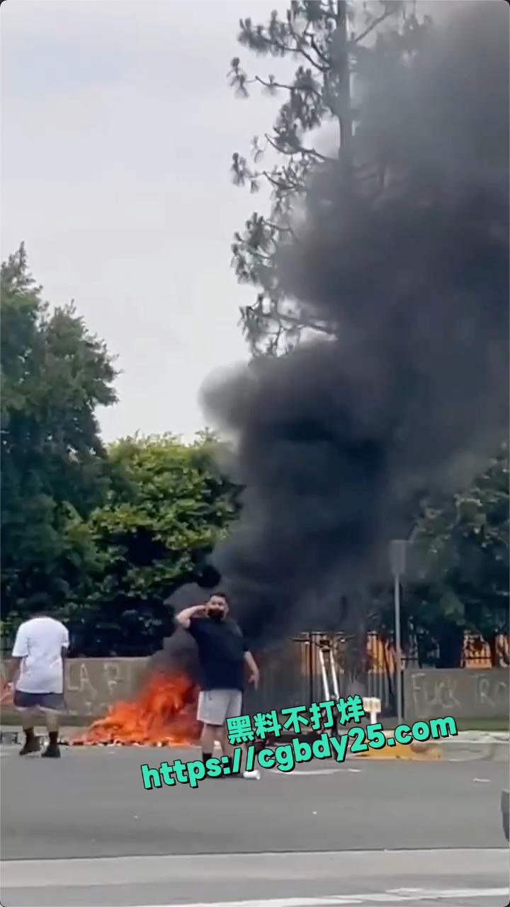 美国爆发大规模抗议突袭移民互相在街头开打3