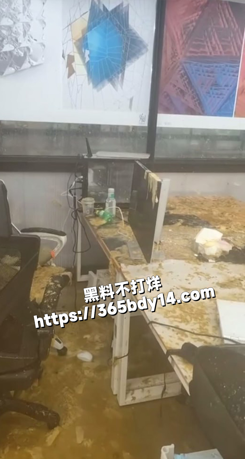 国美淋屎8