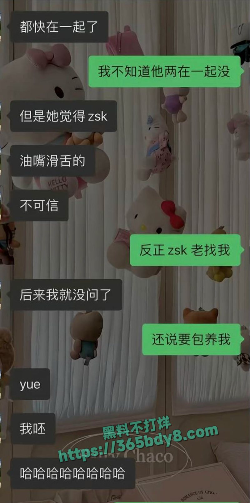 张斯柯出轨嫖娼 29