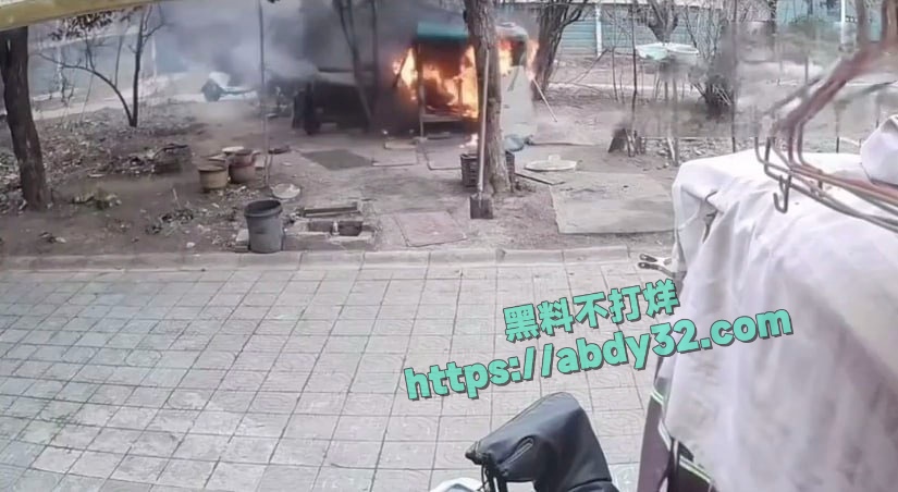 连云港两男孩烧死笼中萨摩耶  13