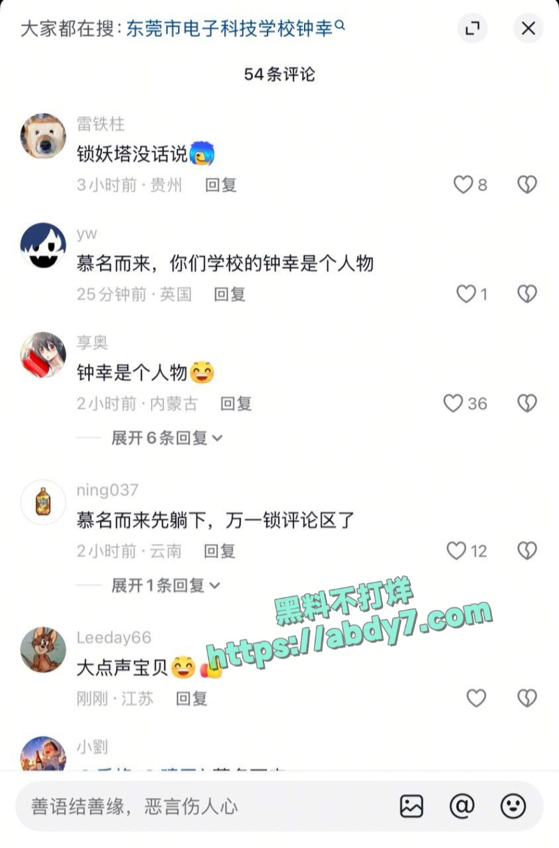东莞电子科技学校钟幸不雅视频 12