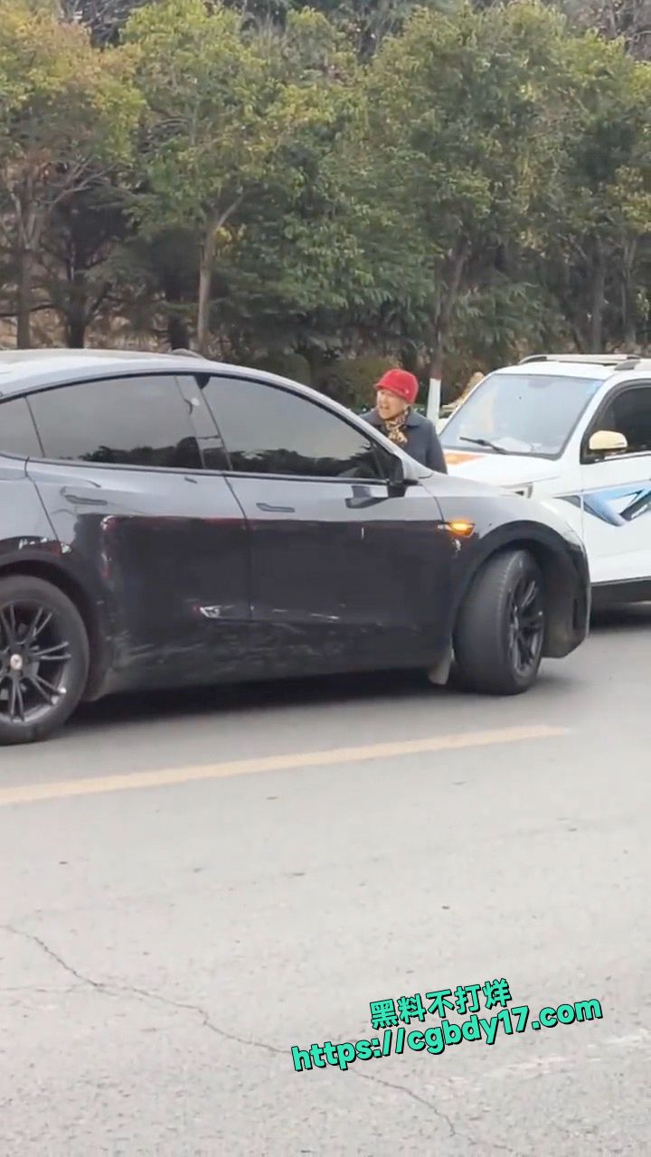 老头乐逆行老人下车给特斯拉车主一顿骂2