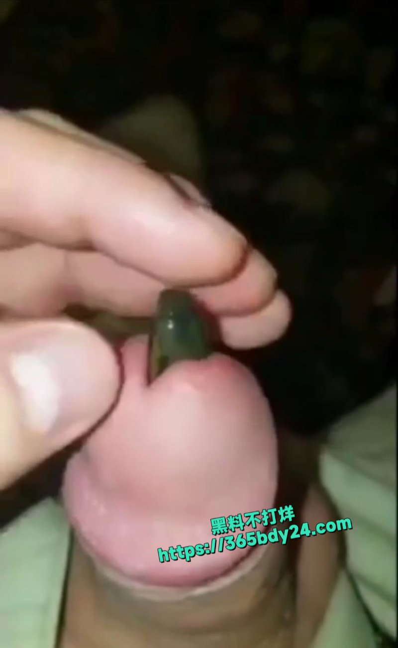 血蛭往龟头里塞3