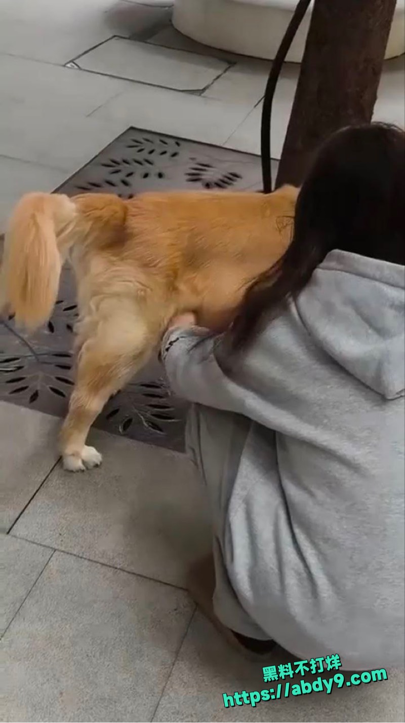 妹子早中晚撸狗鸡巴三次1