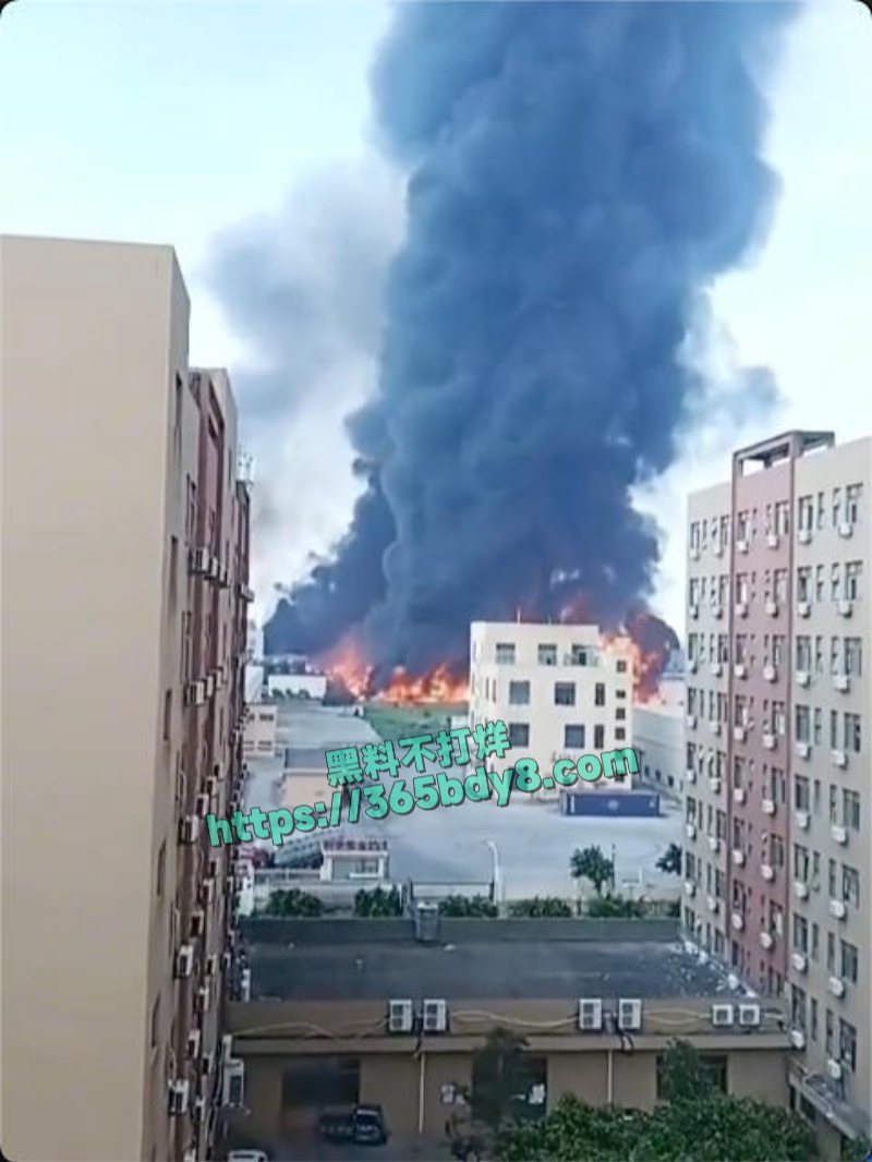 福清某化工厂火灾爆炸下水道全都一起炸开了12