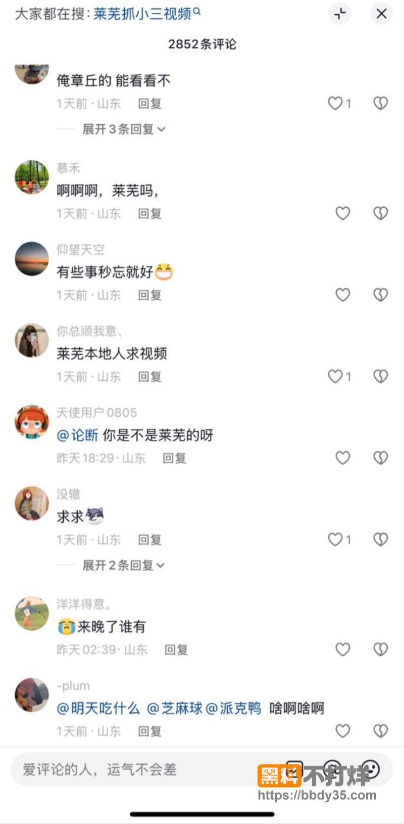 网友跪求的莱芜抓小三03