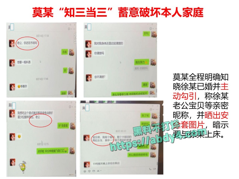 珠海金凤小学教师莫莉不雅视频泄密 6