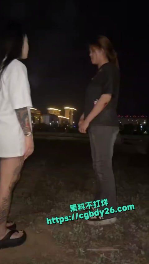 河南南召县几个精神小妹欺负一个小妹妹2