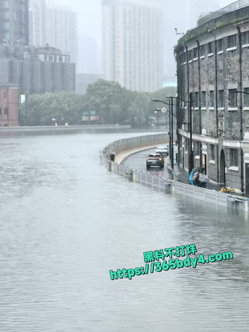 台风竹节草导致上海黄浦江水倒灌4