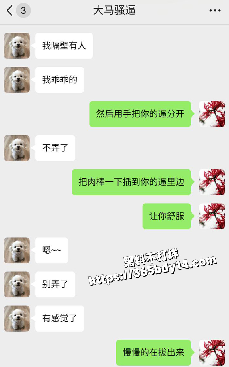 网调马来西亚小妞7