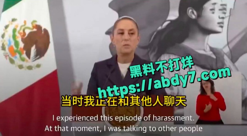 墨西哥女总统谢因鲍姆遭街头性骚扰 6