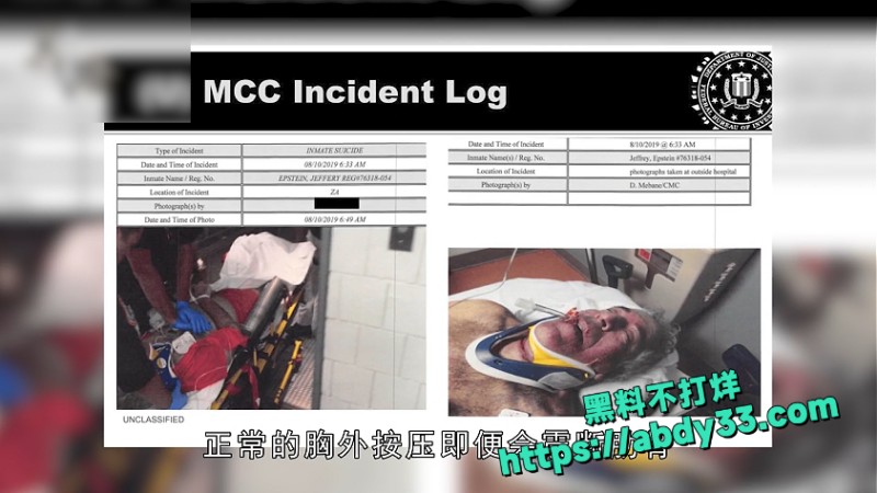 爱泼斯坦死亡谜团解开 6