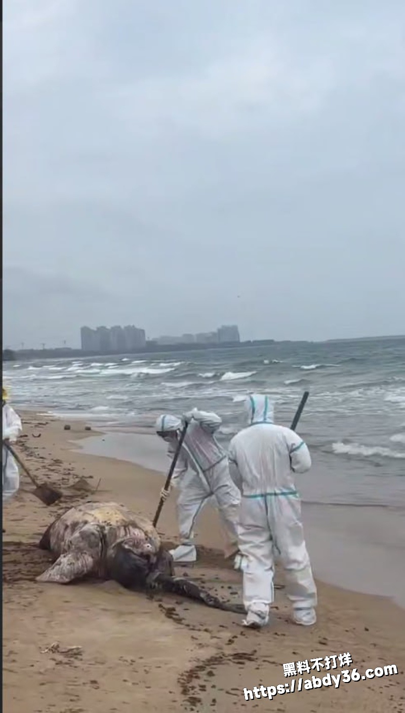 2026年2月多地突发事件合集 6