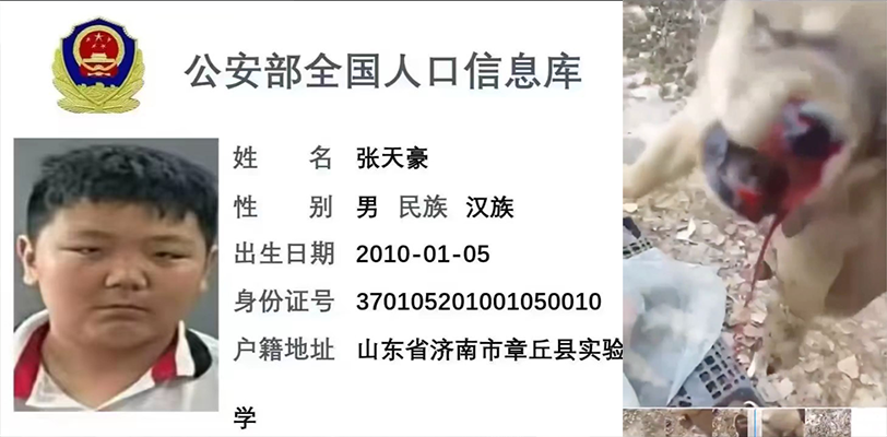 山东济南章丘县 实验中学 张天豪 用鞭炮炸小狗虐狗 遭全网开盒 画面不适，慎入