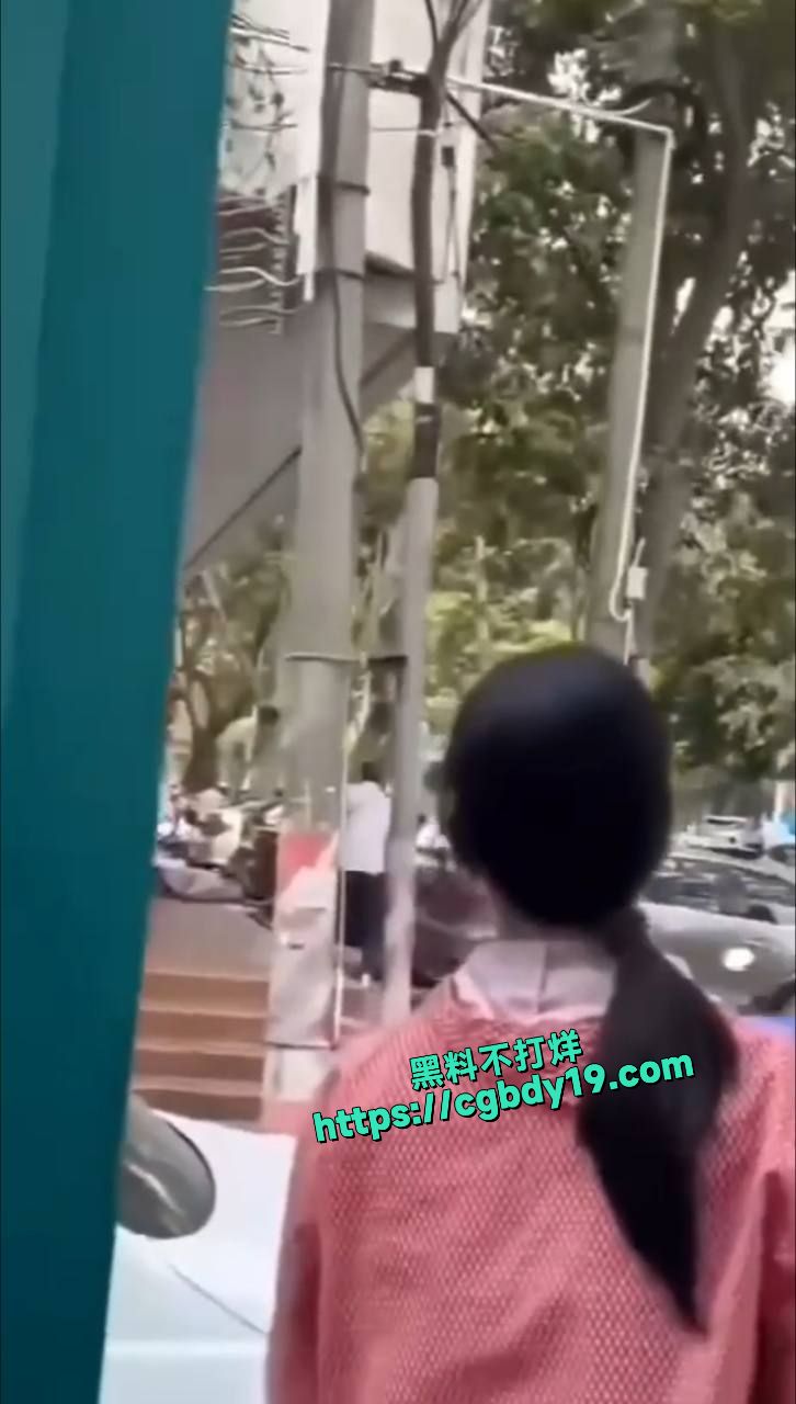 广东省湛江市霞山区爱国街道办金晓华副书记被访民用锄头砸头场毙命4