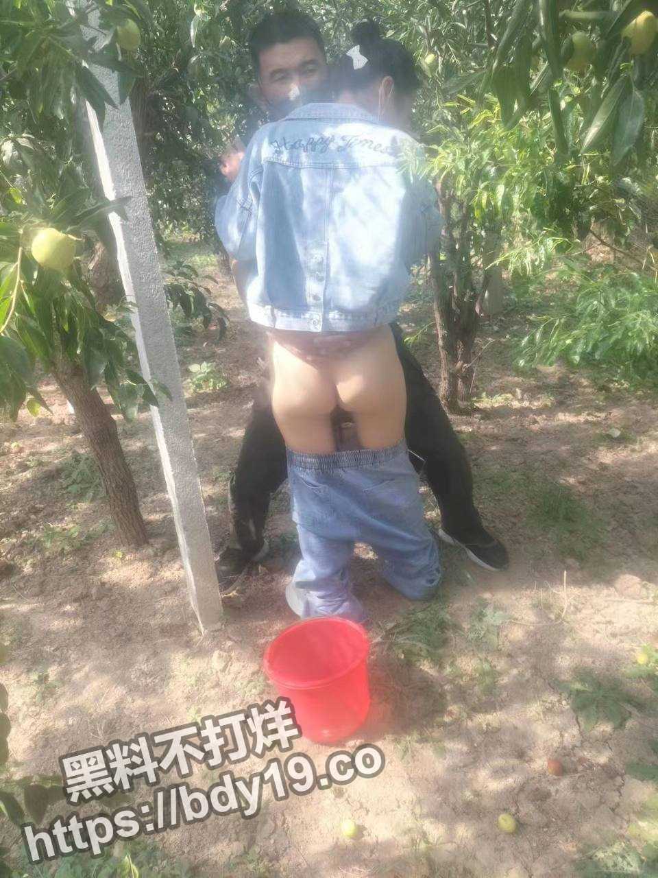 山东省卖冬枣女老板李淑红.jpg