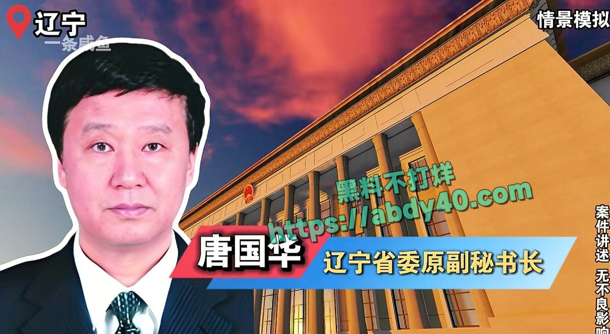 唐国华大幂幂什么关系 14