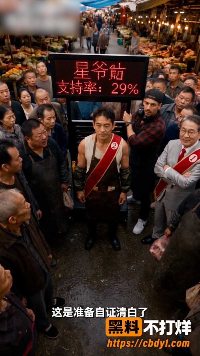 极品特务：别惹卖猪肉的 7