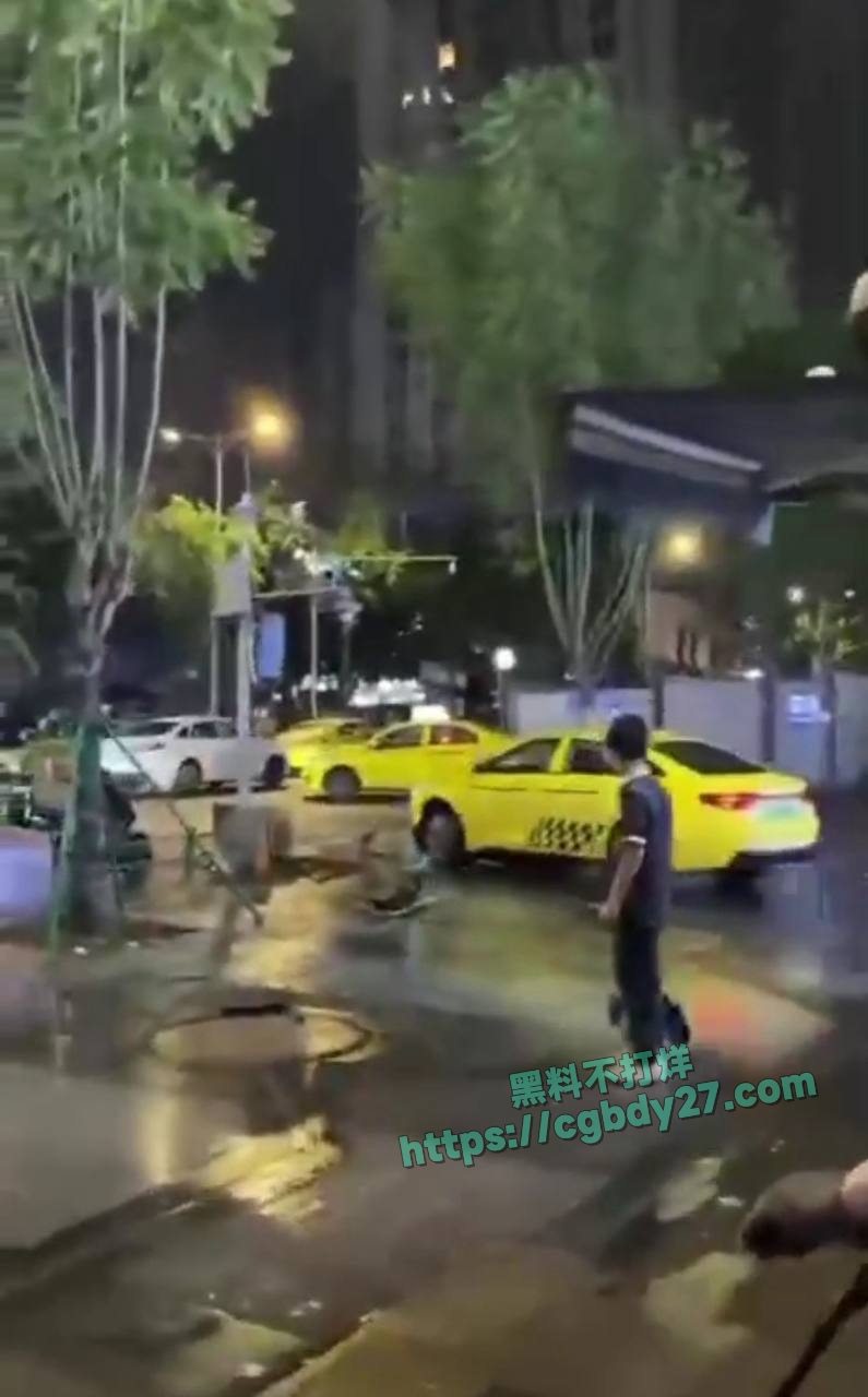 重庆出租车撞人事件 5