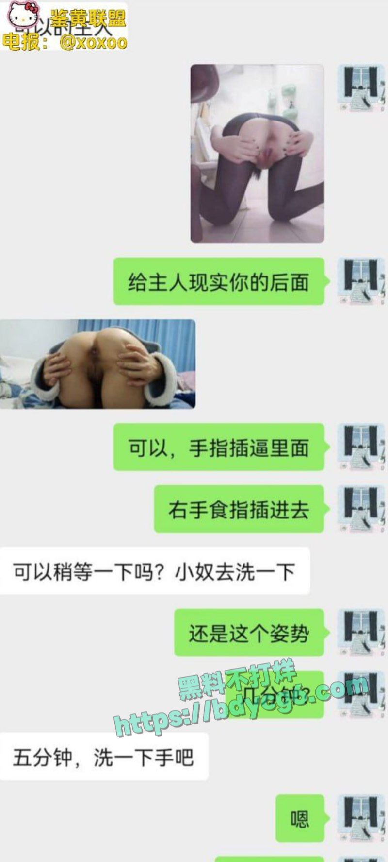 网调极品少女3