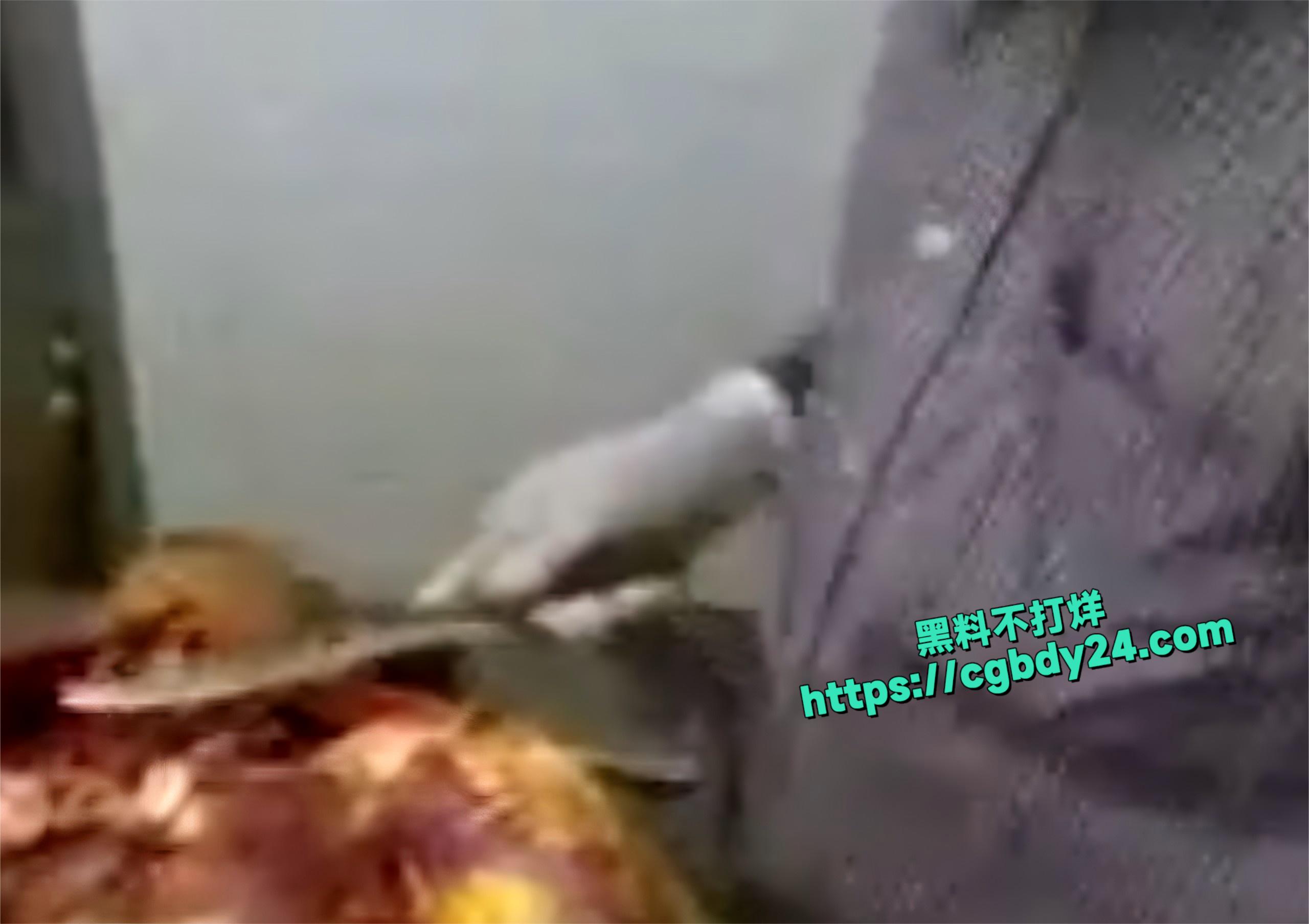记录视频