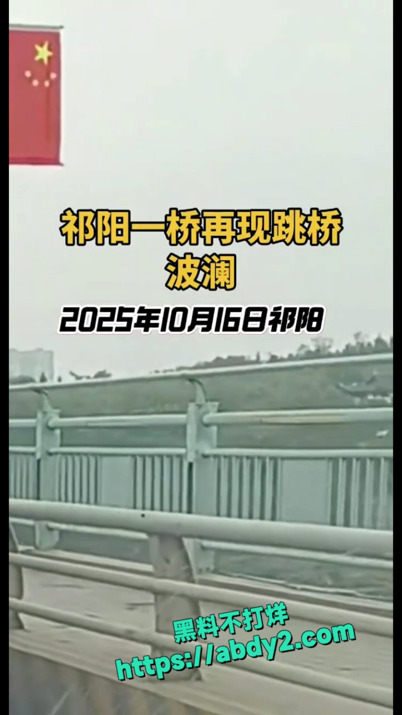 永州祁阳一桥跳桥事件 9