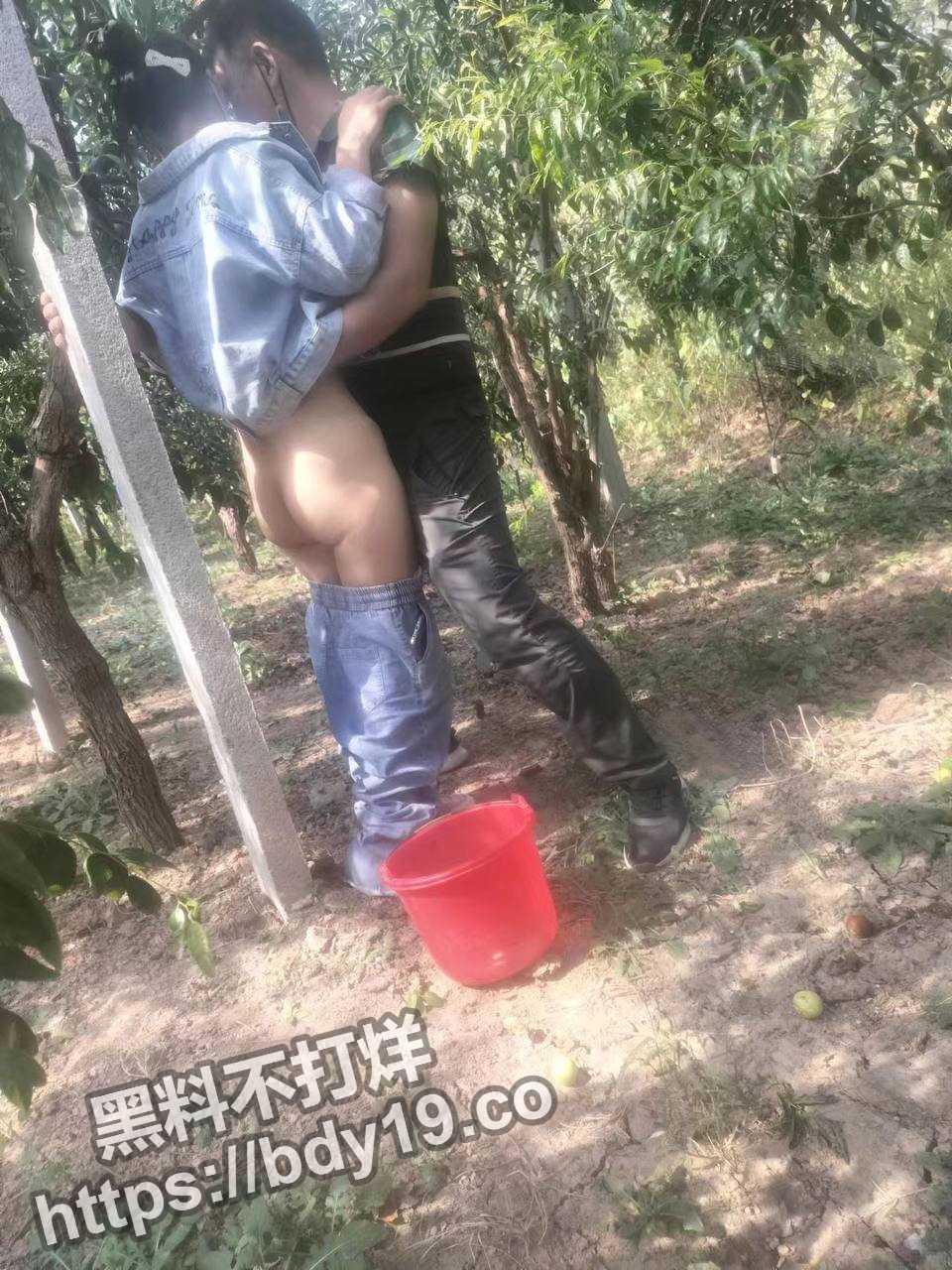 山东省卖冬枣女老板李淑红.jpg