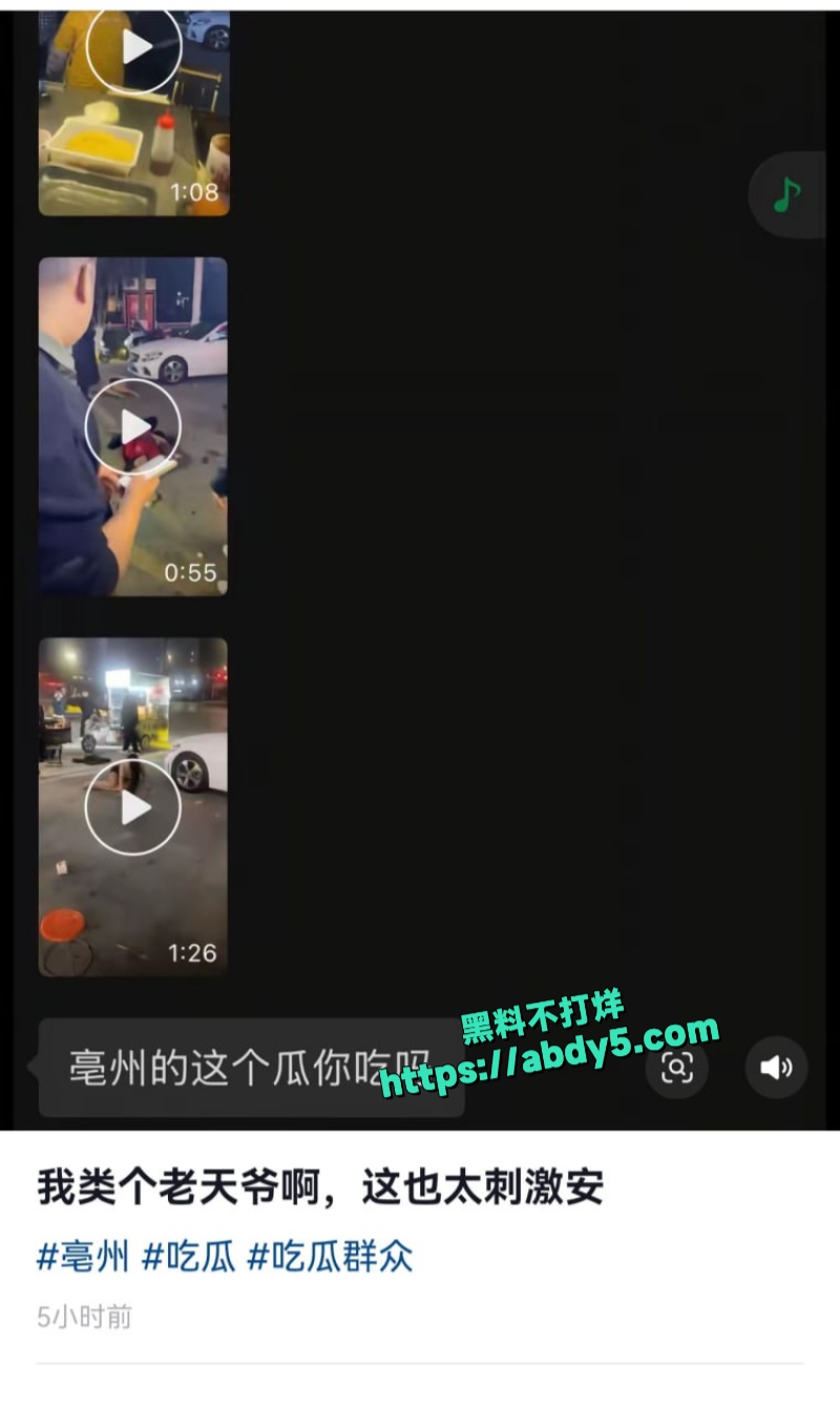 毫州街头女子和老太太厮打 2