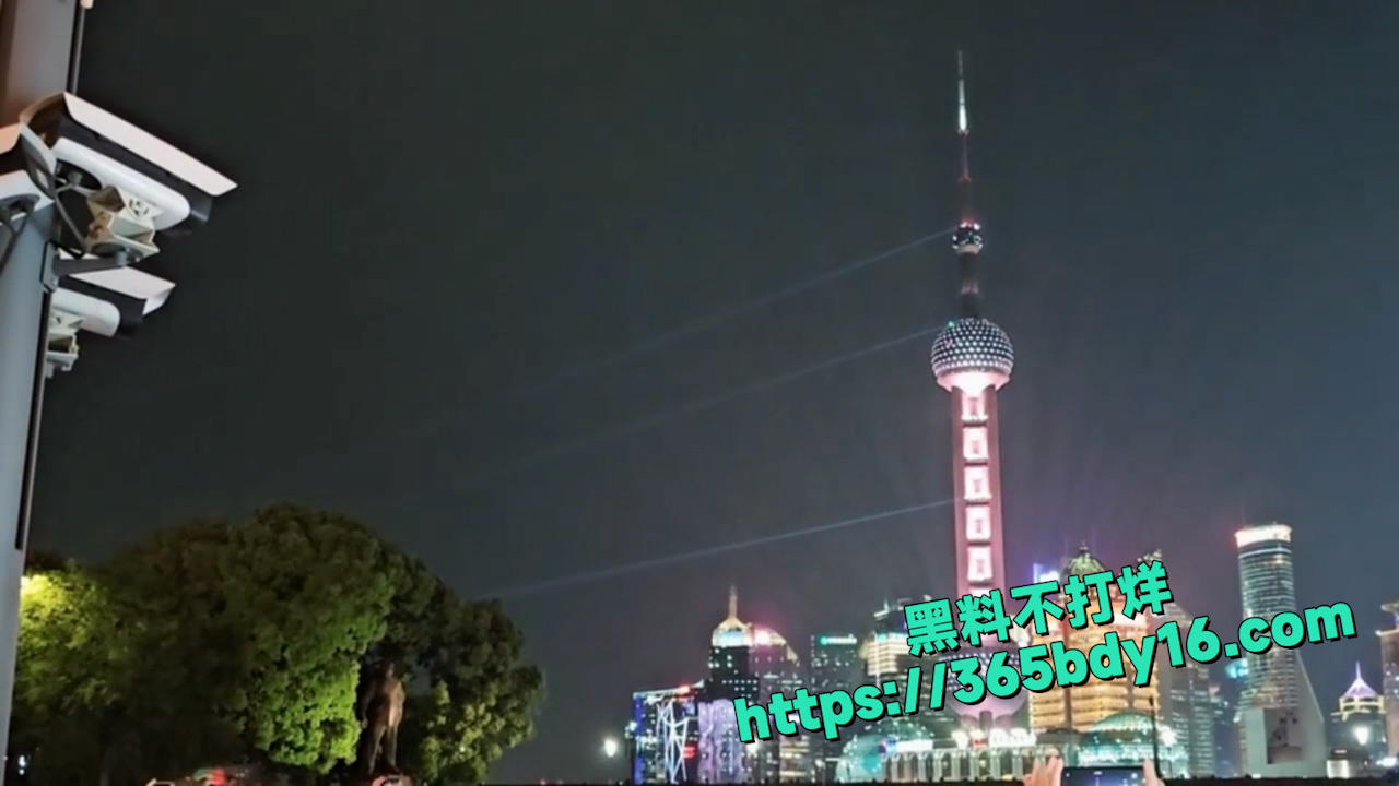 哥哥与妹妹上海外滩游玩 7