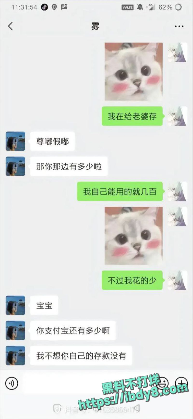 36.jpg
