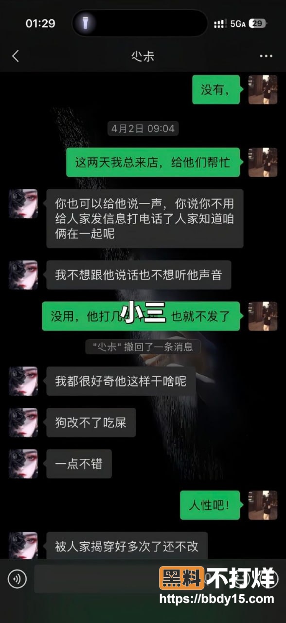 渣男与小三薛小芳8