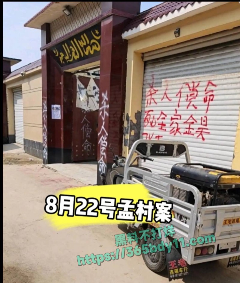 河北孟村县大案小三照片6