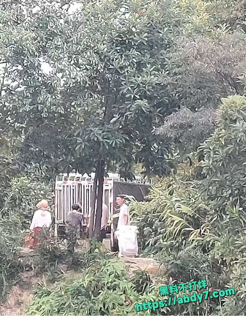 广东清远迎咀水库奇葩放生事件 2