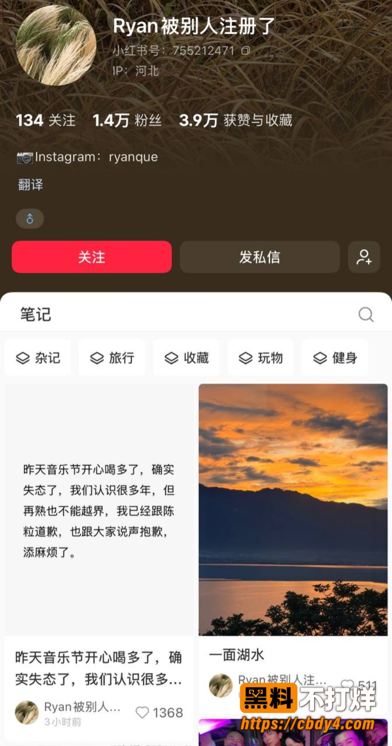 瑞恩4