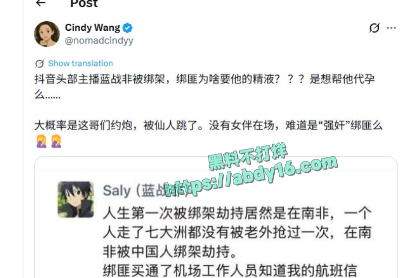 蓝战非南非绑架事 12