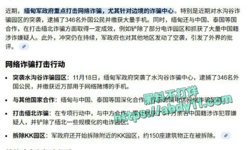 缅甸诈骗头目佘智江引渡回国 1